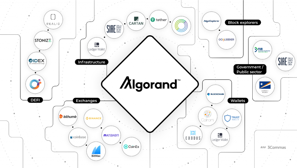 A Look At My Crypto Portfolio Breakdown And Allocation Strategy
