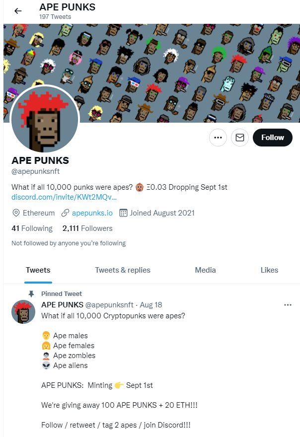 Ape Punks NFT