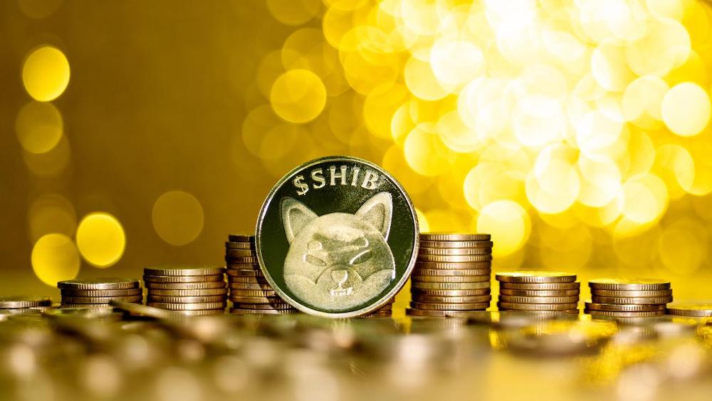 Shiba Inu Coin