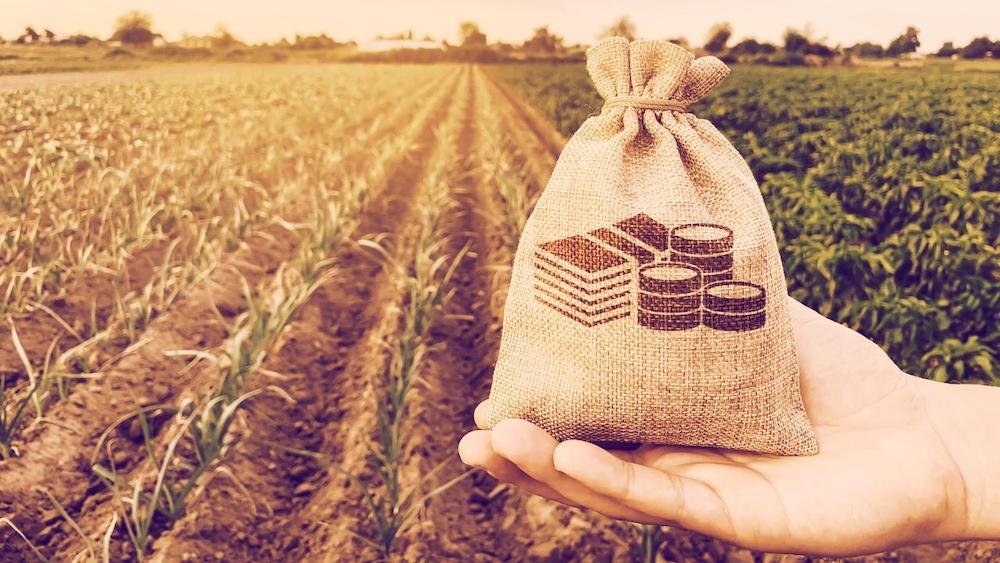 Deep Dive Into The Terra Ecosystem: Yield Farming With Synthetic Assets On Mirror Protocol