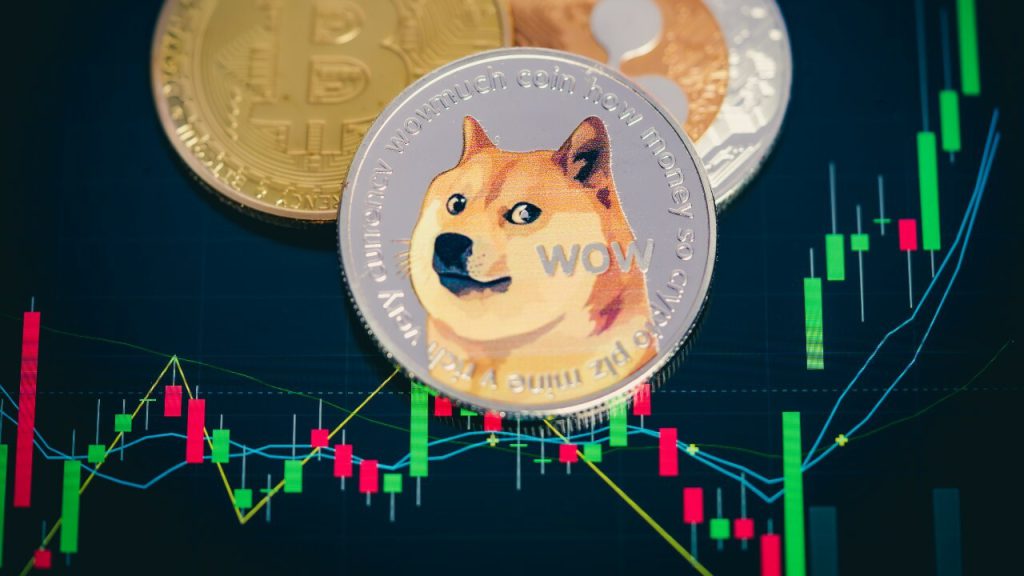 Meme coin