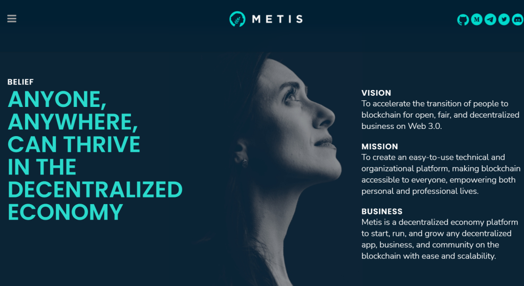 Metis Vision