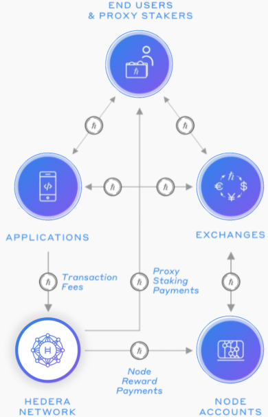 hedera ecosystem
