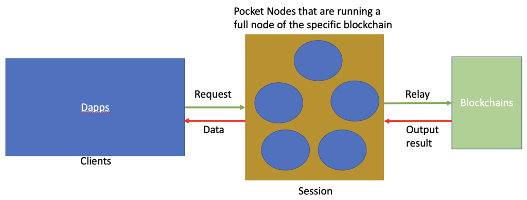 Pocket Network Crypto