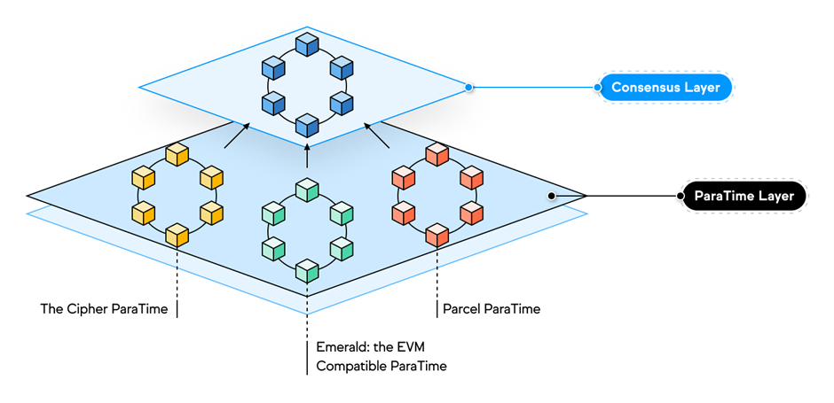 Oasis Network