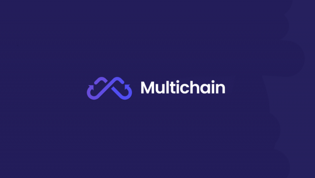 A Step-By-Step Guide To Multichain: What Are Blockchain Bridges And How Do They Work?
