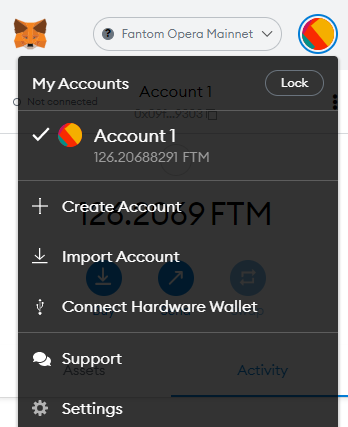 A Complete Guide To Setting Up MetaMask For The Fantom Network And How to Import Tokens