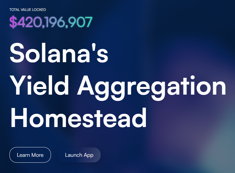 Tulip Garden Yield Optimizer