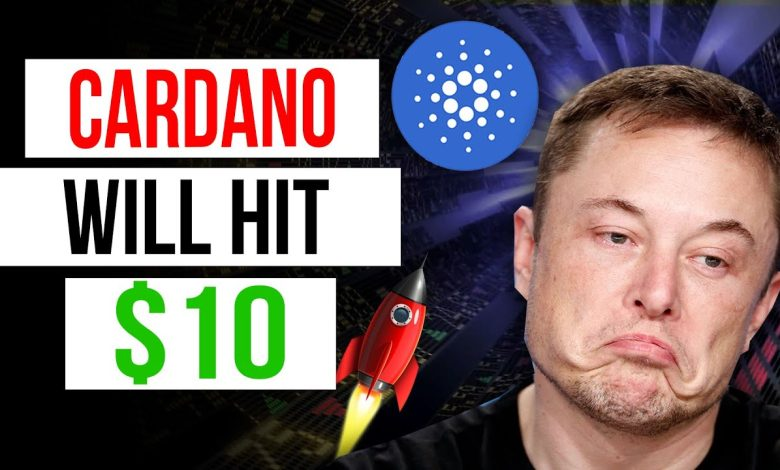 Cardano Holders Will Probably Outperform You
