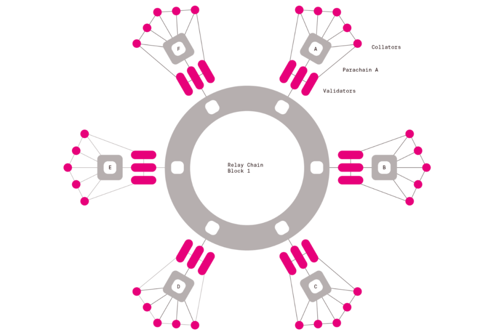 polkadot relay chain