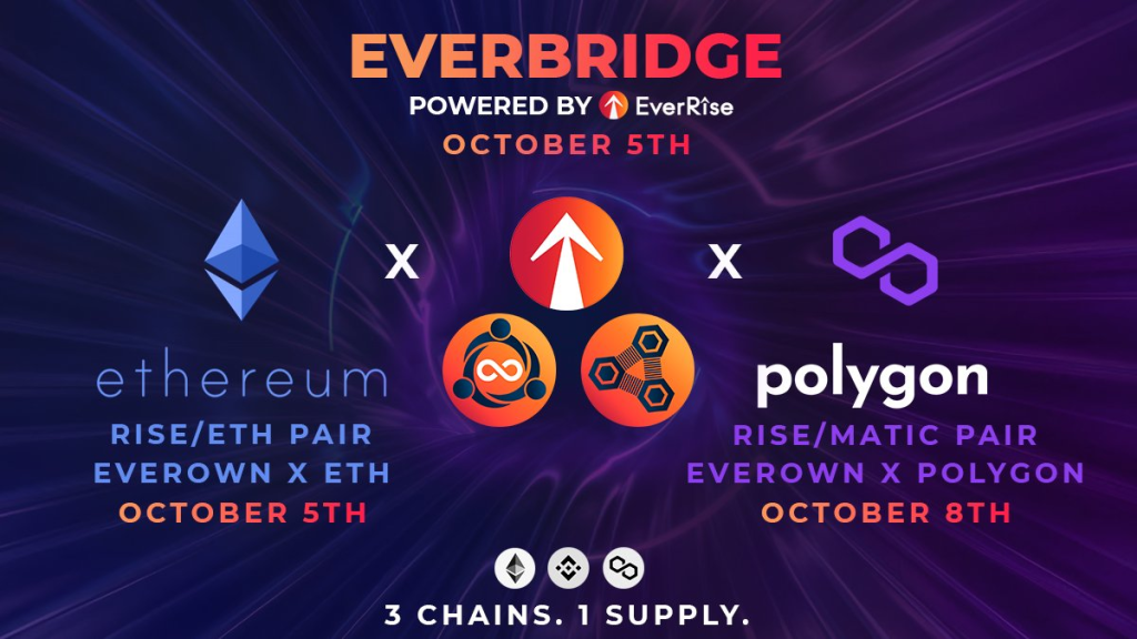 WallStreetBets Led Him Into Crypto, Now Building An All-In-One DeFi Platform With EverRise