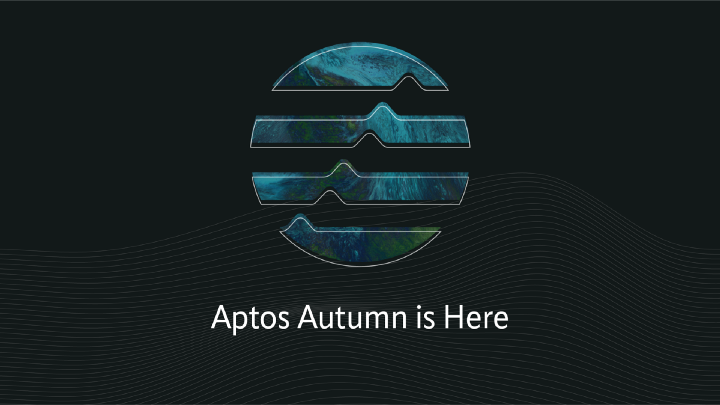 A Complete Run Down On What Happened To Aptos On Launch Day