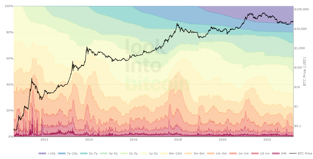 The Shocking Truth About Bitcoin's Limited Supply