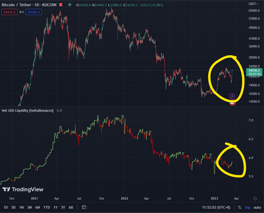 From Panic To Profits: How A Bank Run Sparked A Crypto Market Rally