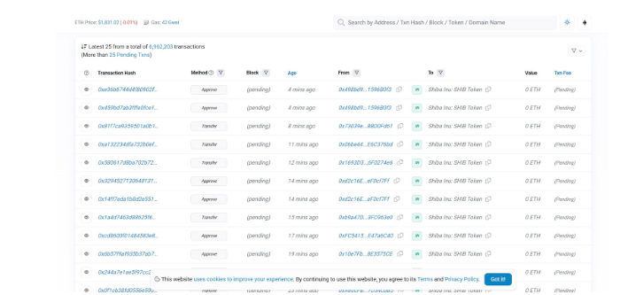 5 Tips To Protect Your Crypto Wallet From Exploits